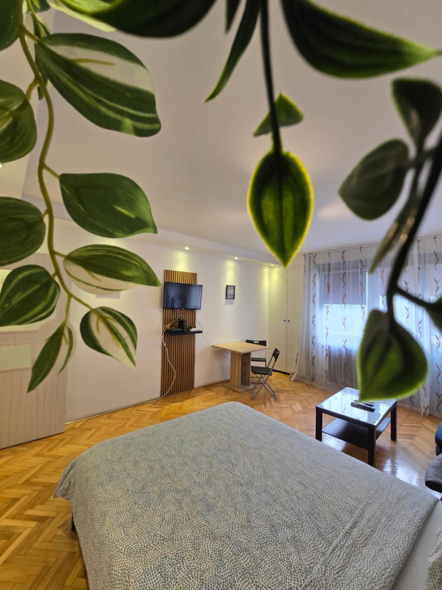 Azzurro Studio Apartment ベオグラード エクステリア 写真
