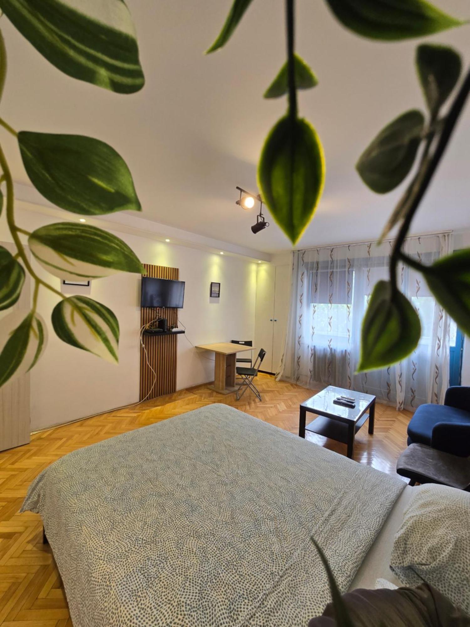 Azzurro Studio Apartment ベオグラード エクステリア 写真